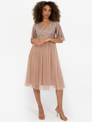 Maya Taupe Blush Short Flutter Sleeve Embellished Midi Dress 