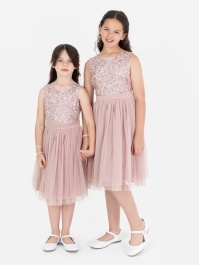 Maya mini discount delicate sequin dress